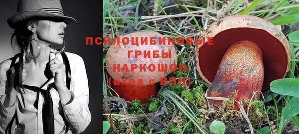 прущие крисы Магадан