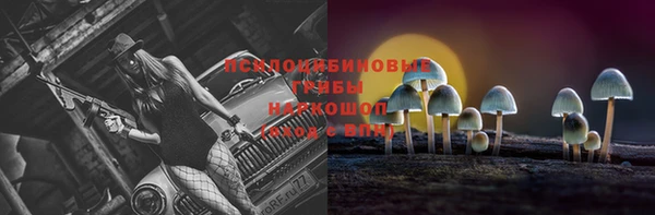 герыч Майский