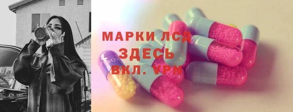 твердый Туринск