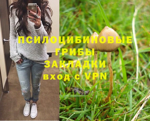 герыч Майский