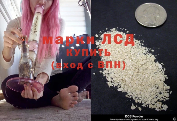 прущие крисы Магадан