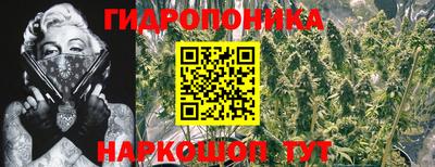 марки lsd Заволжье