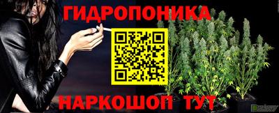 трава Заводоуковск