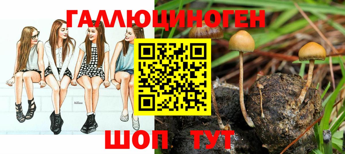 Псилоцибиновые грибы прущие грибы  Вход с VPN  Минеральные Воды 