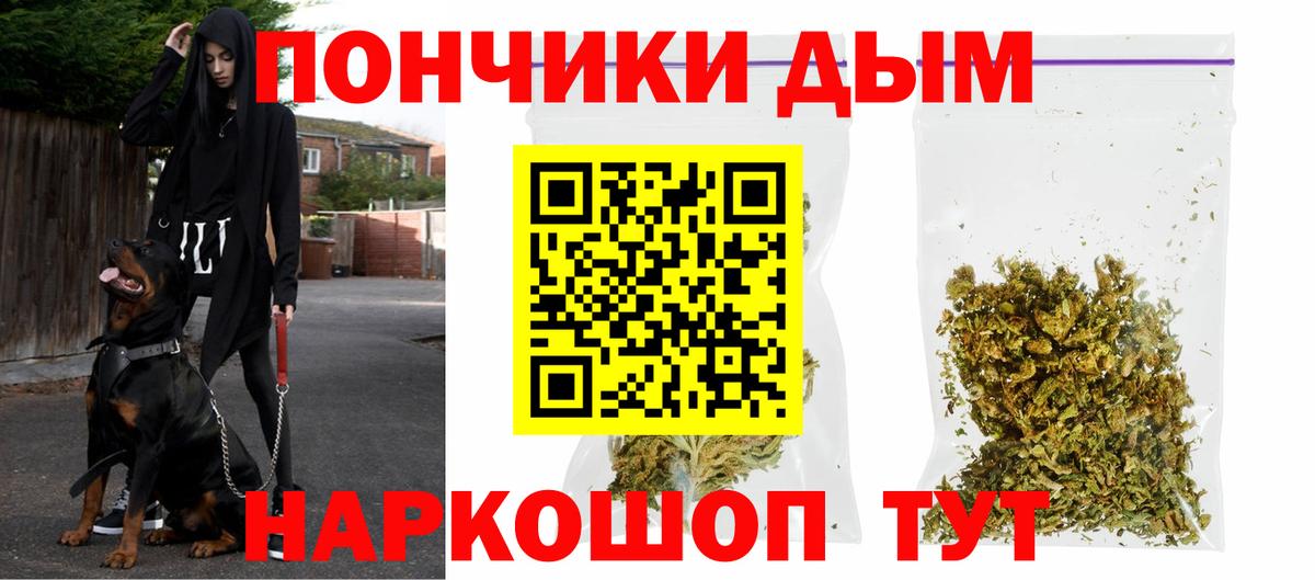 Каннабис конопля  Конопля ГИДРОПОН  Минеральные Воды  Конопля SATIVA & INDICA 